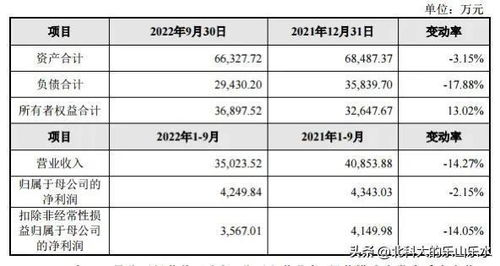 股票代码怎么分配的