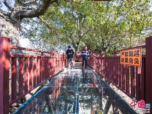 云南雨天是否适合旅游