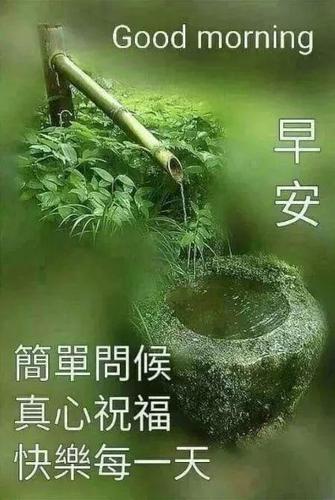 甜蜜早安，暖心告白每日一句，情话绵绵