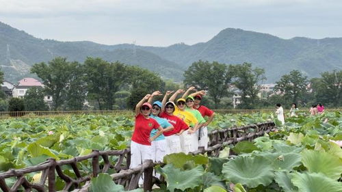 灵丘北泉村第十三届荷花节暨乡村文化旅游节开幕