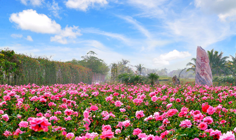 山东海阳凤城旅游度假区